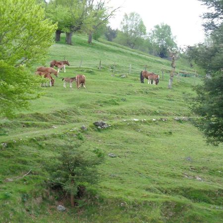 בית הארחה Villabona 	Casa Rural Alustiza מראה חיצוני תמונה