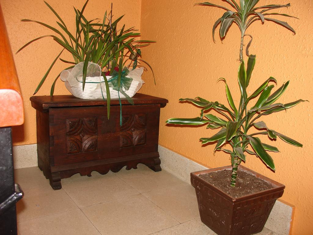 בית הארחה Villabona 	Casa Rural Alustiza מראה חיצוני תמונה
