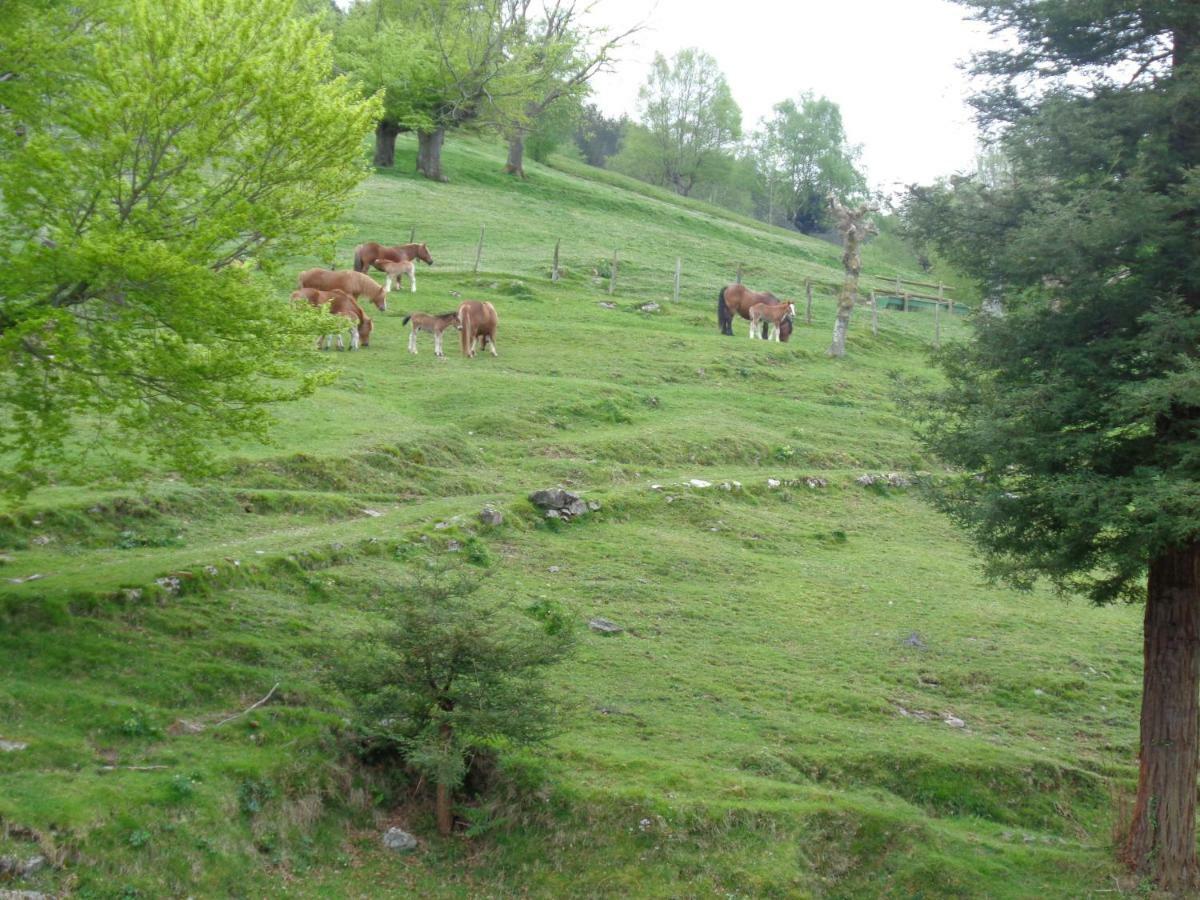 בית הארחה Villabona 	Casa Rural Alustiza מראה חיצוני תמונה